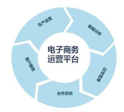 電子商務平臺運營中的網(wǎng)絡推廣策略 構建流量閉環(huán)與提升轉化率